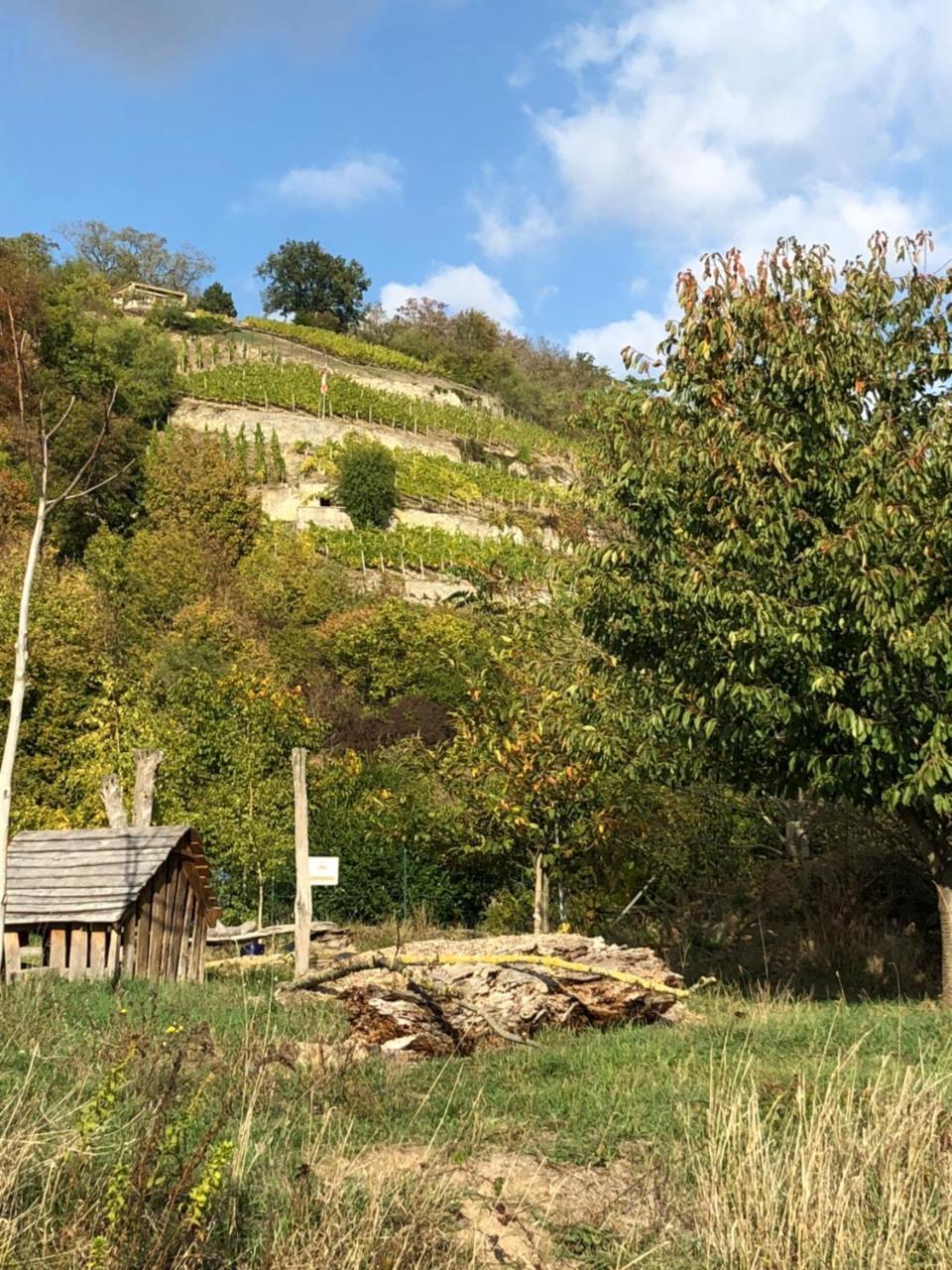 Hotel Garni Zum Rebstock Naumburg  Exterior photo